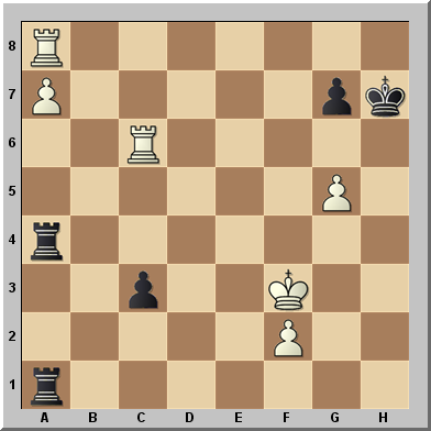 Rompecabezas de ajedrez Nro 32